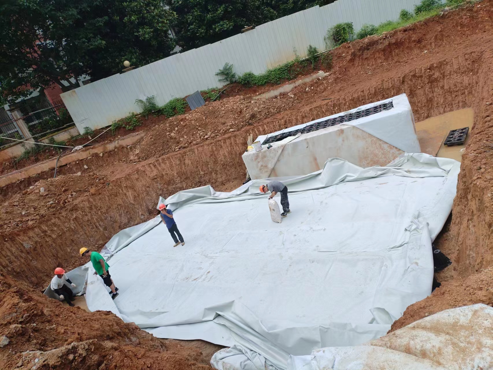 1687918584142443.jpg 2.jpg