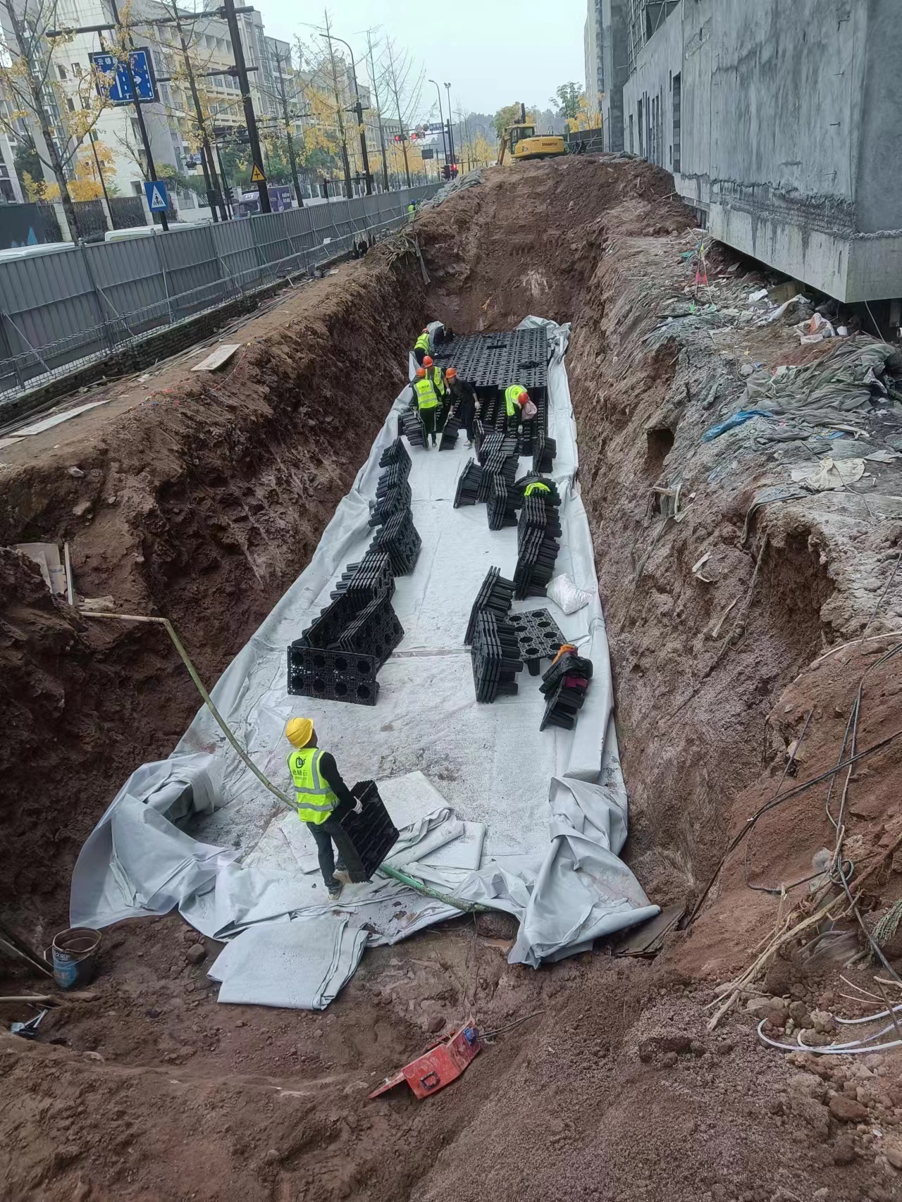 1701334185145257.jpg 2.jpg